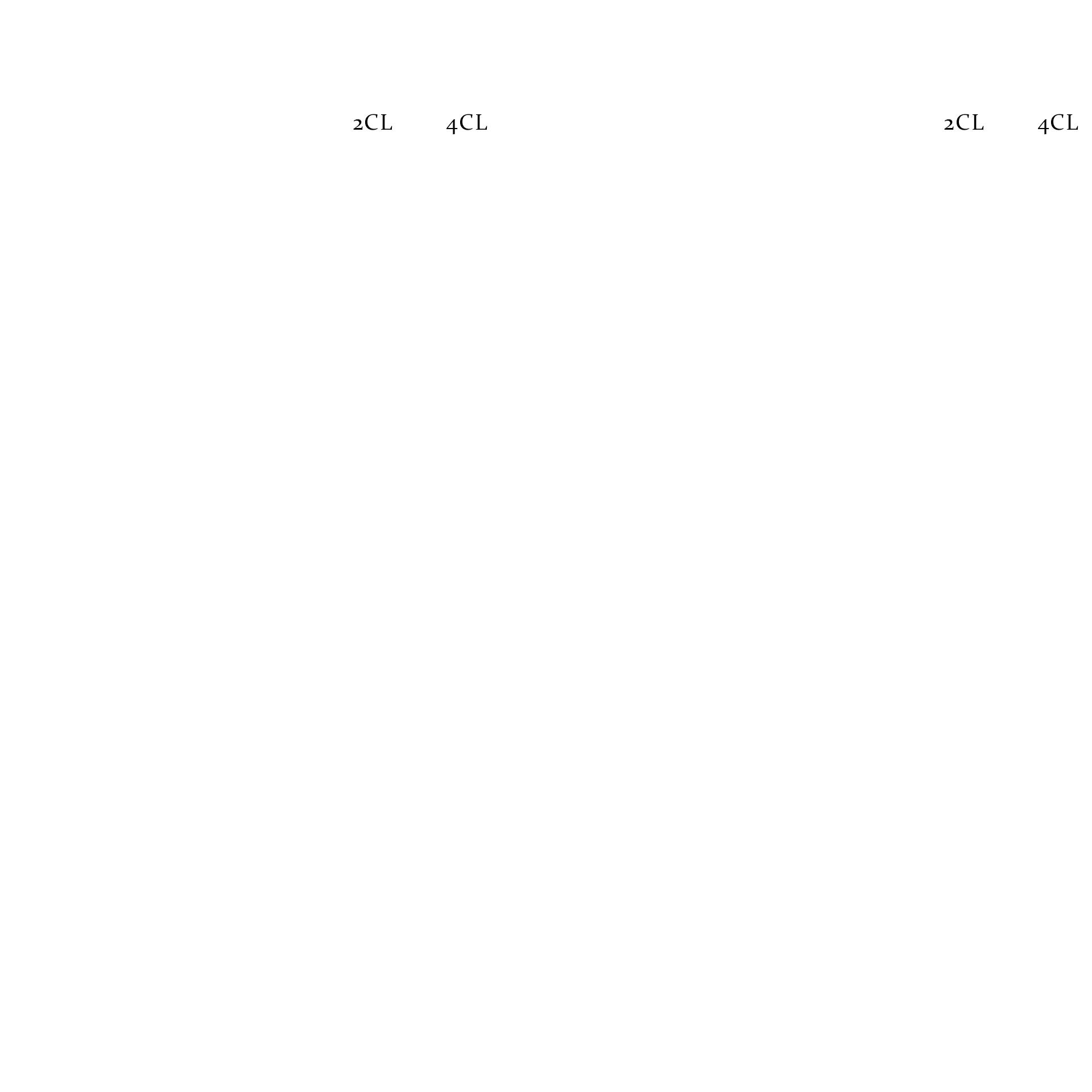 05-shots